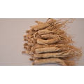 Chinese Natural Wild Plant Dried White Ginseng Root